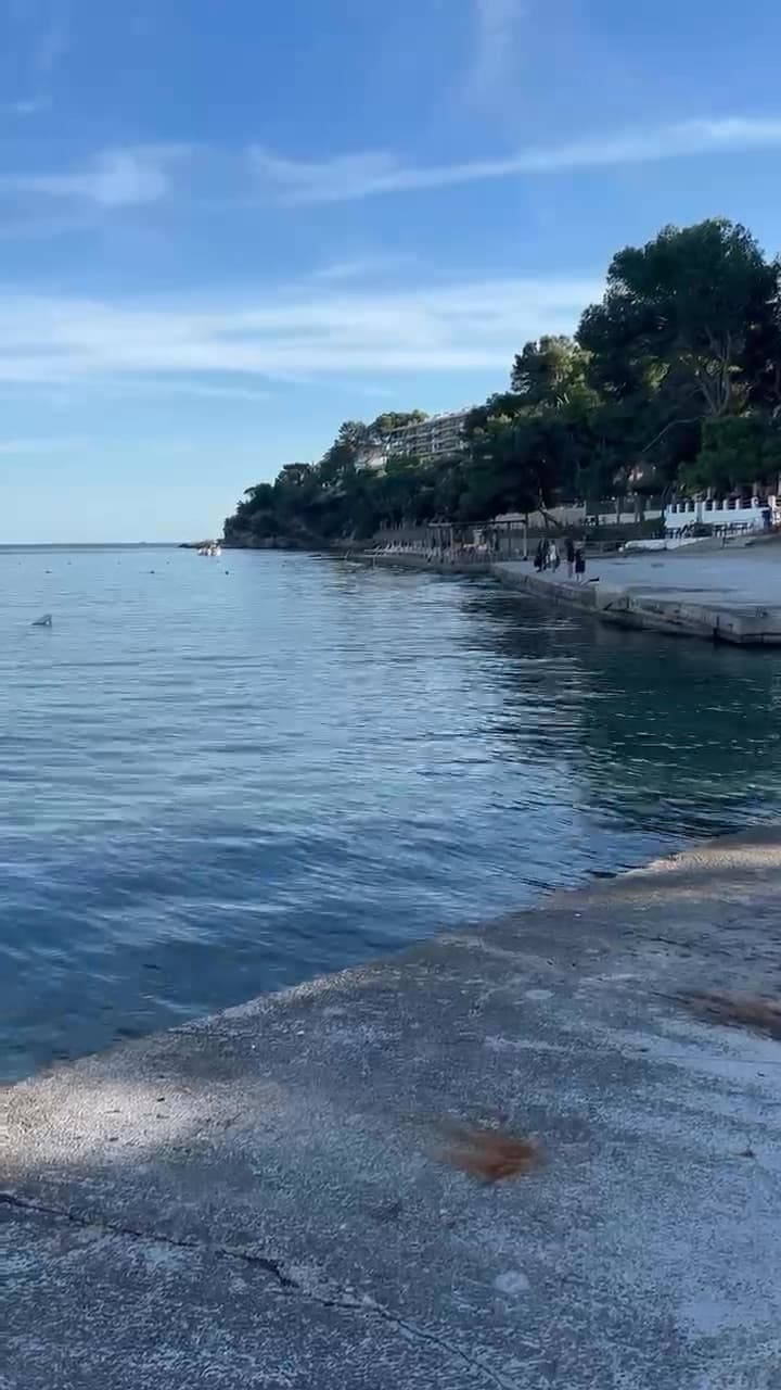 Magaluf Beach , Calvià