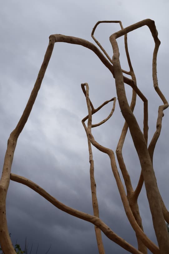 Fabián Schalekamp - “El cor del bosc”