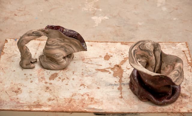 Rebeca Morey - Anatoformes