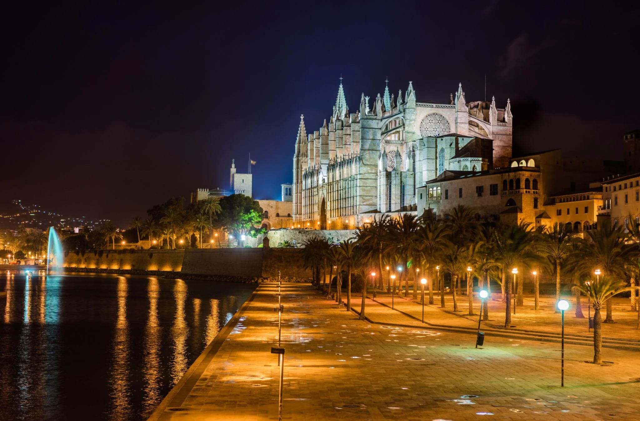Palma Cathedral (La Seu) and waterfront at night in Mallorca